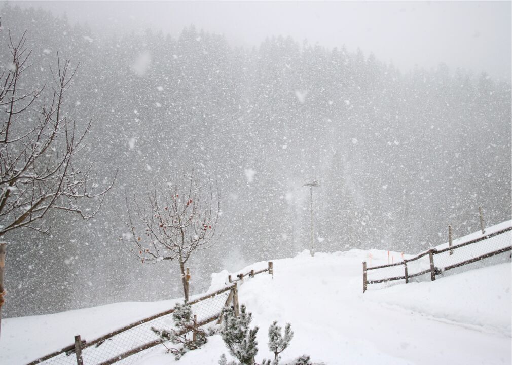1984: A mix of cold spells, storms, and hail